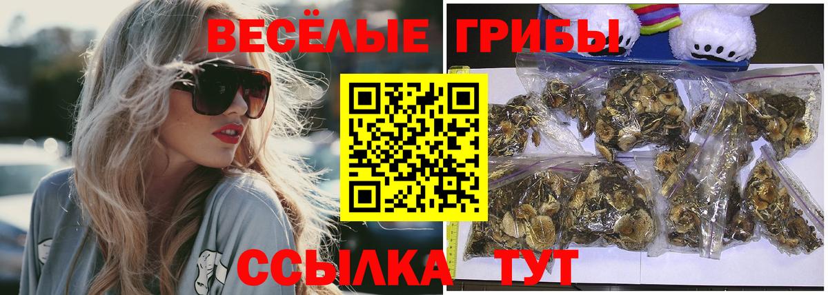 Камышин  Галлюциногенные грибы GOLDEN TEACHER  Вход с VPN 
